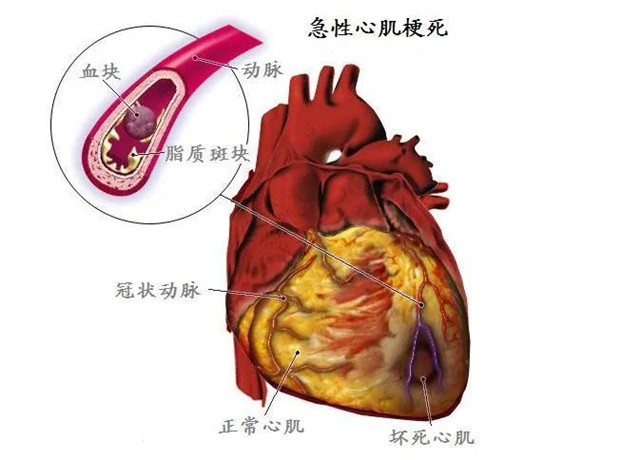 微信图片_20230113165755.jpg