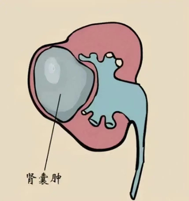 微信图片_20230203143700.jpg